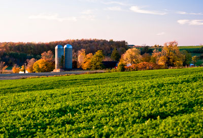 Sunset overlooking autumn trees and two silos.