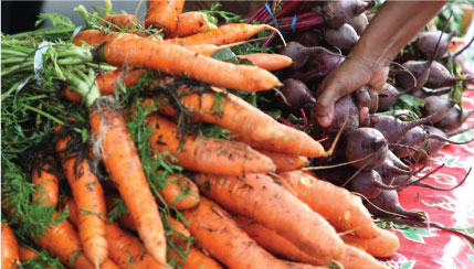 Bunches of carrots and beets on a table at a farmers market; a hand reaches in to grab a beet.