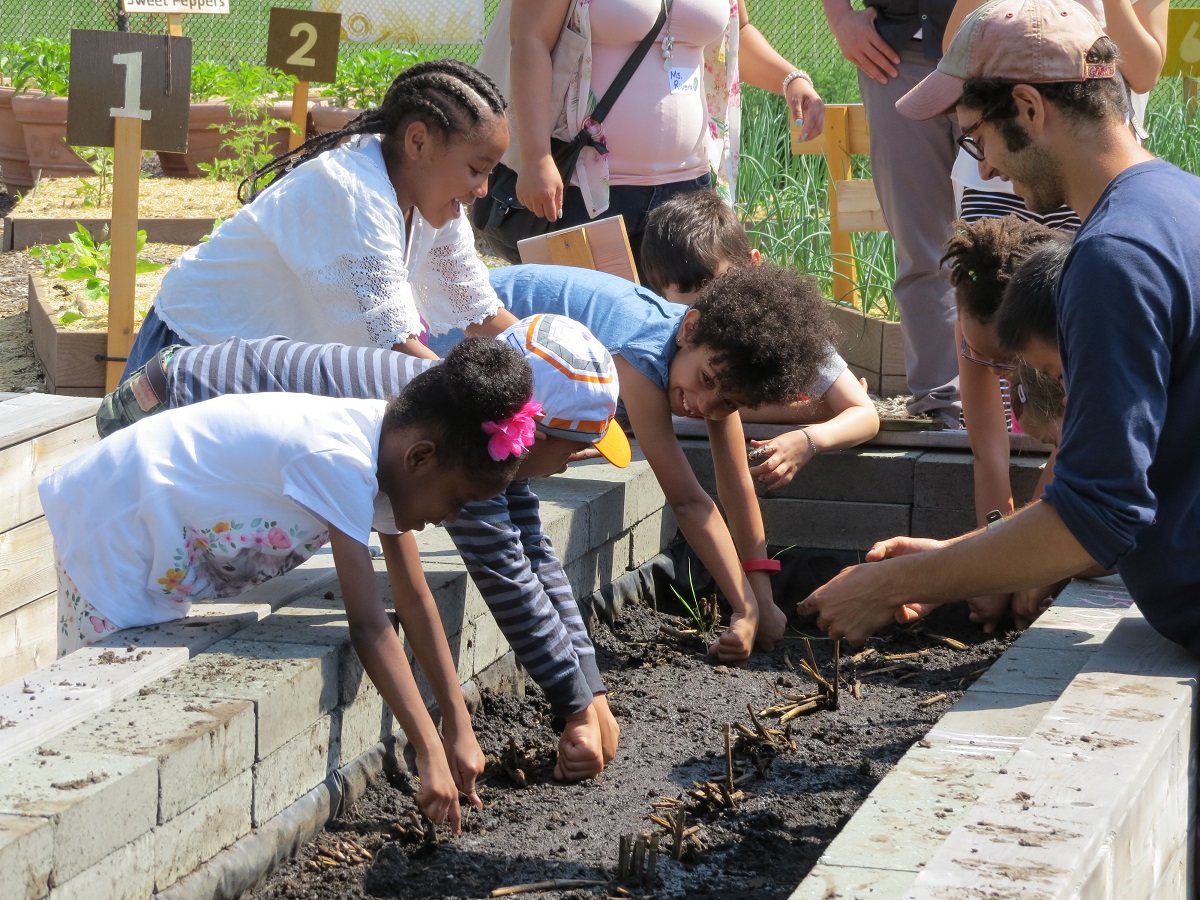 A group of young children work together to plant seeds in an urban community farm.
