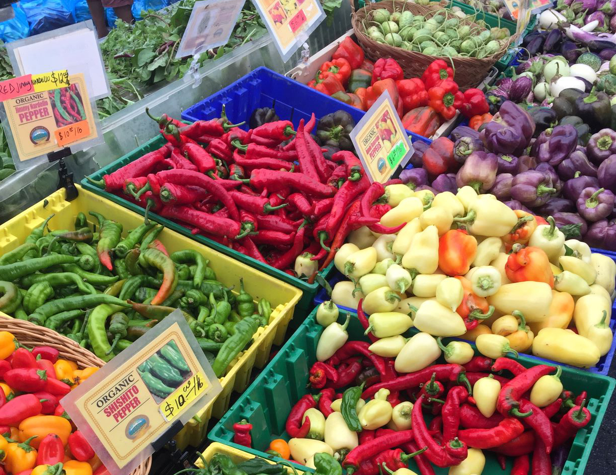 Bins overflowing with colorful peppers at a farmers market.