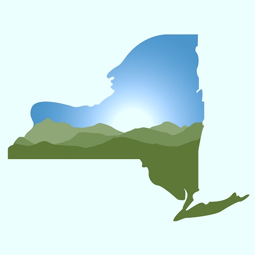 NYHealth placeholder logo.