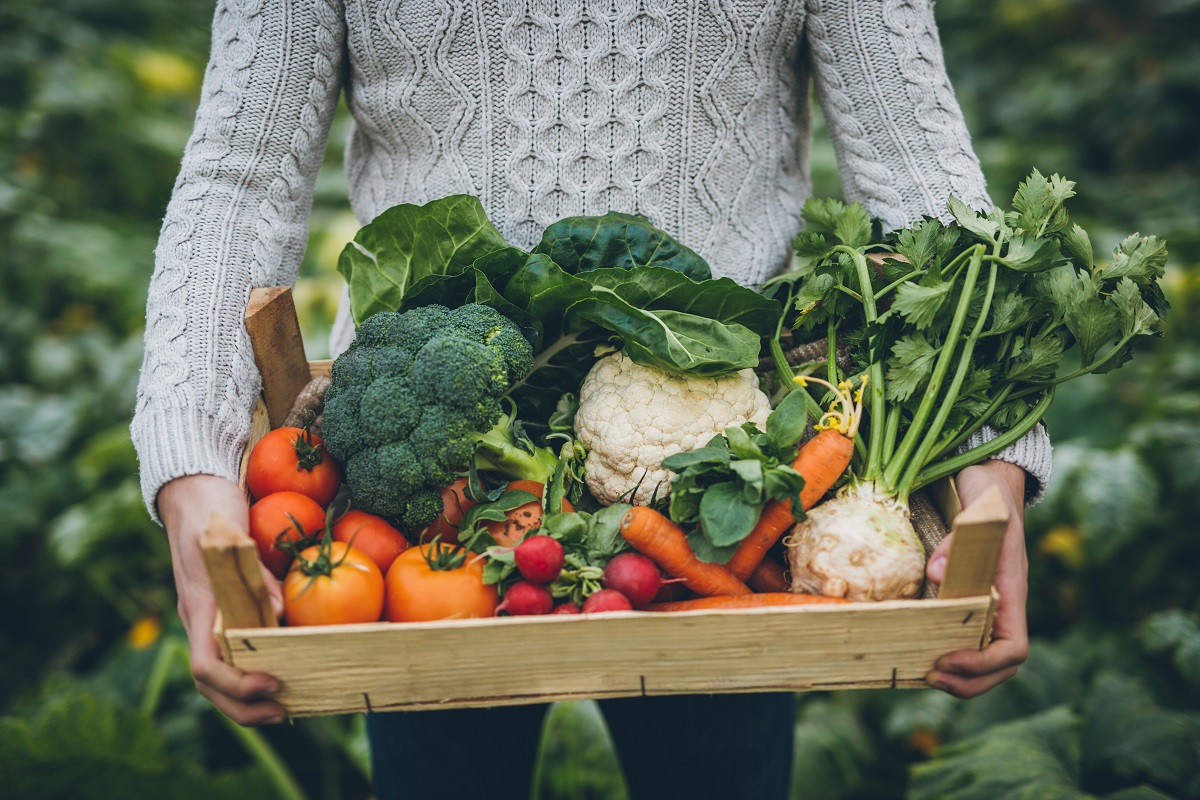 A person standing in a garden holding a basket of fresh vegetables.